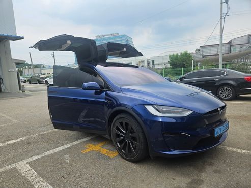 Tesla Model X Long Range — пробег 53 900 км — фото 1 из 5