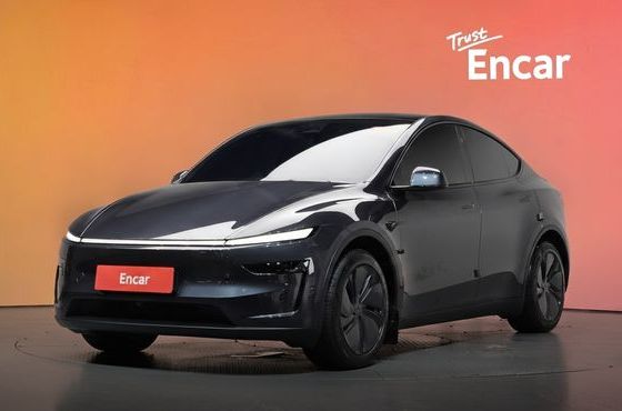 Tesla Model Y Long Range AWD — пробег 12 530 км — фото 1 из 5