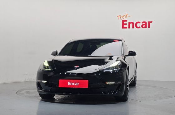 Tesla Model 3 Performance AWD — пробег 33 181 км — фото 3 из 5