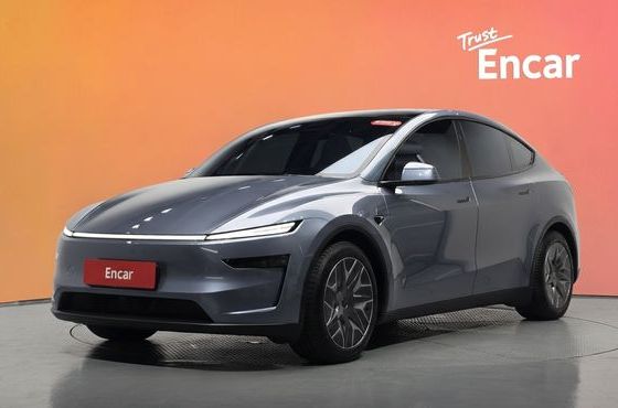 Tesla Model Y L Long Range AWD — пробег 15 407 км — фото 1 из 5