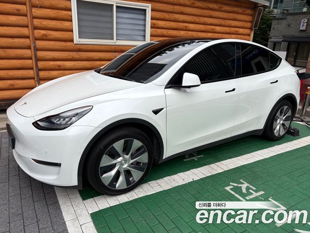 Tesla Model Y Long Range AWD — пробег 86 899 км — фото 1 из 5