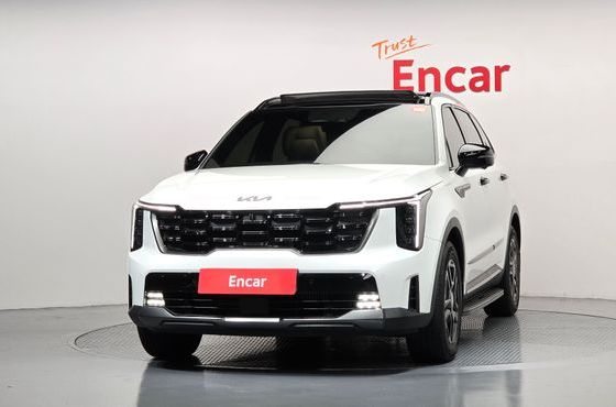 Kia Sorento HEV 1.6 2WD Gravity — пробег 16 797 км — фото 3 из 5