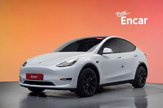 Tesla Model Y Long Range AWD — пробег 52 779 км — фото 1 из 5