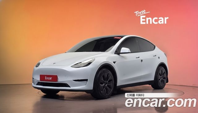 Tesla Model Y Long Range AWD — пробег 35 567 км — фото 1 из 5