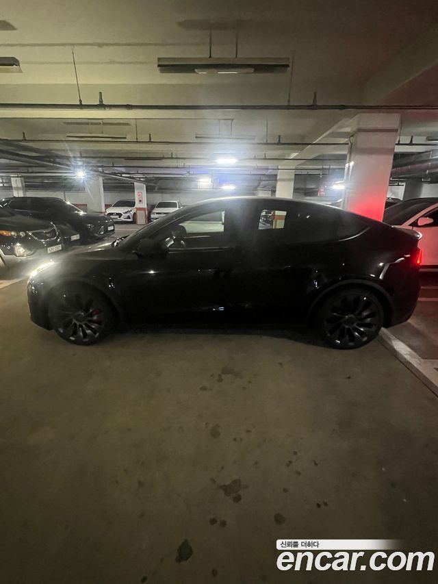 Tesla Model Y из Кореи Encar
