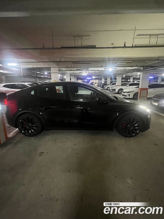 Tesla Model Y из Кореи Encar