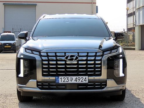 Hyundai Palisade Gasoline 3.8 4WD VIP — пробег 111 998 км — фото 1 из 5