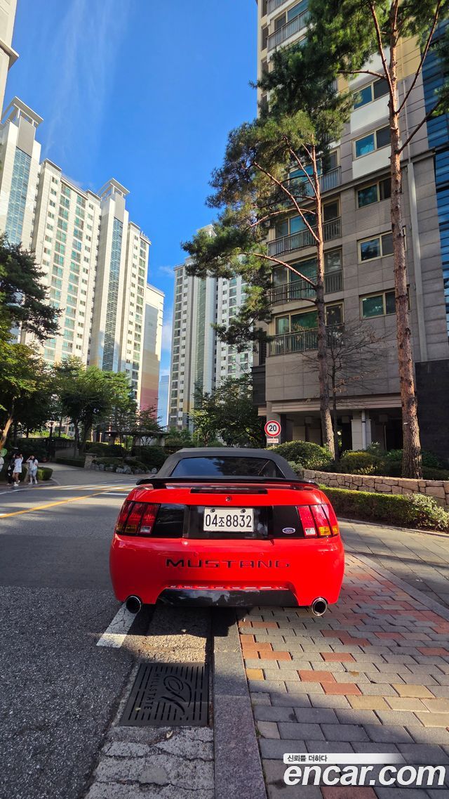 Ford Mustang Convertible — пробег 78 000 км — фото 4 из 5