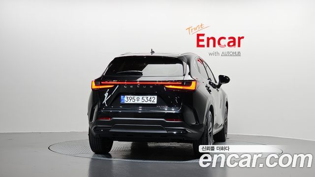 Lexus NX Premium — пробег 24 054 км — фото 4 из 5