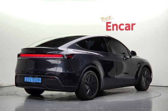 Tesla Model Y Premium Long Range AWD — пробег 9 789 км — фото 2 из 5