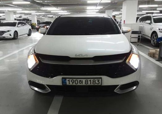 Kia Sportage Diesel 2.0 2WD Trendy — пробег 198 978 км — фото 1 из 5