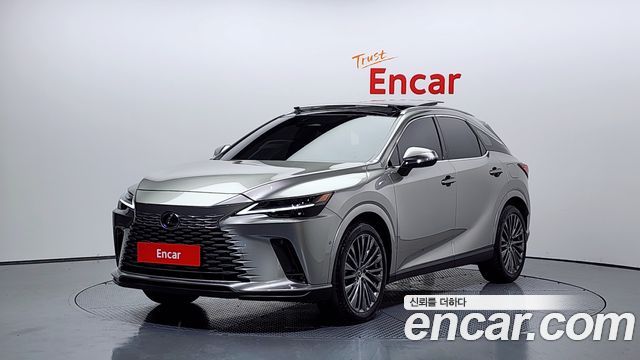 Lexus RX Luxury — пробег 29 938 км — фото 1 из 5