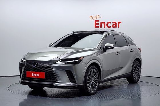 Lexus RX Luxury — пробег 29 938 км — фото 1 из 5