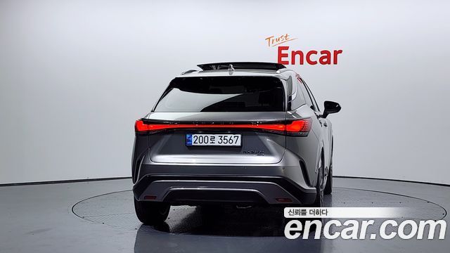 Lexus RX Luxury — пробег 29 938 км — фото 4 из 5