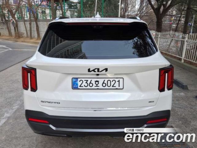 Kia Sorento HEV 1.6 2WD Signature X Line — пробег 550 км — фото 4 из 5