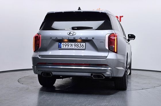 Hyundai Palisade Diesel 2.2 4WD VIP — пробег 21 961 км — фото 4 из 5