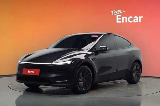 Tesla Model Y Long Range AWD — пробег 27 931 км — фото 1 из 5