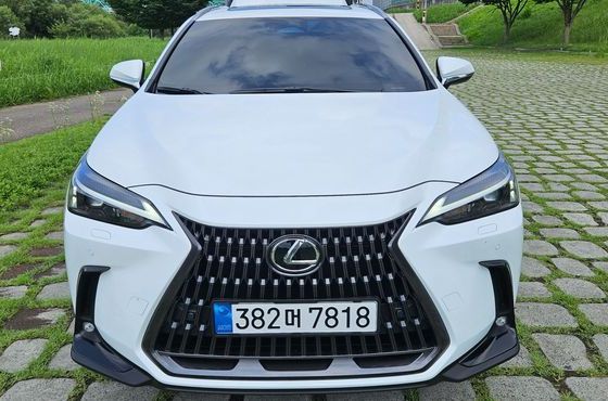 Lexus NX Premium — пробег 1 306 км — фото 1 из 5