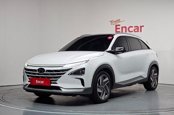 Hyundai Nexo Premium — пробег 50 143 км — фото 1 из 5