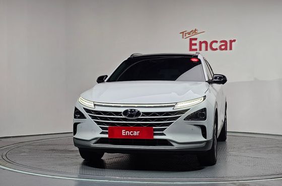 Hyundai Nexo Premium — пробег 50 143 км — фото 3 из 5