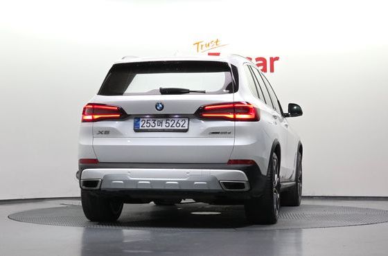 BMW X5 xDrive 30d xLine — пробег 116 117 км — фото 4 из 5