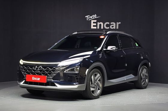 Hyundai Nexo Premium — пробег 61 398 км — фото 1 из 5