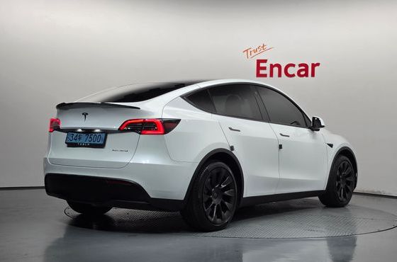 Tesla Model Y Long Range AWD — пробег 118 531 км — фото 2 из 5