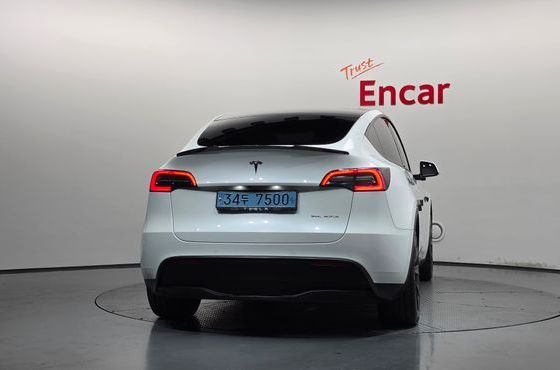 Tesla Model Y Long Range AWD — пробег 118 531 км — фото 4 из 5