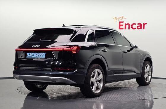 Audi e-tron 50 Quattro — пробег 120 166 км — фото 2 из 5