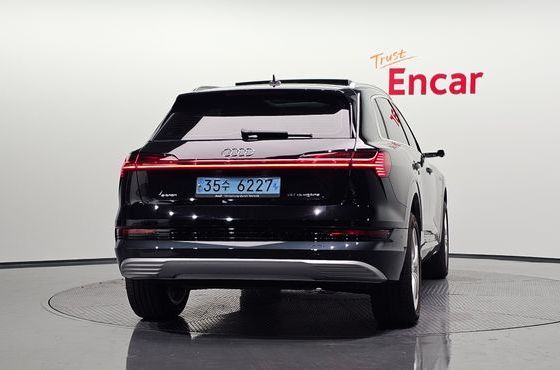 Audi e-tron 50 Quattro — пробег 120 166 км — фото 4 из 5