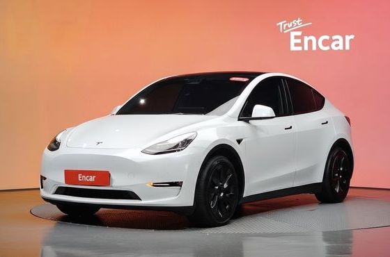 Tesla Model Y Long Range AWD — пробег 41 364 км — фото 1 из 5