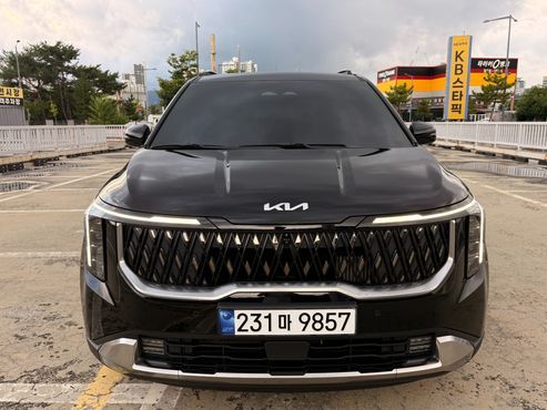 Kia Carnival HEV 9seater Signature — пробег 19 330 км — фото 3 из 5