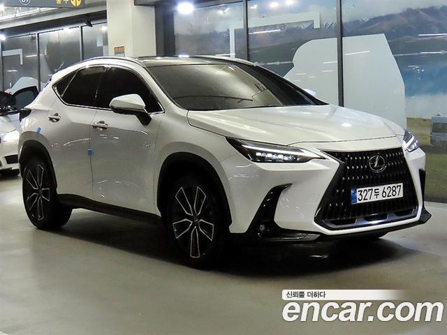 Lexus NX Luxury — пробег 13 239 км — фото 3 из 5