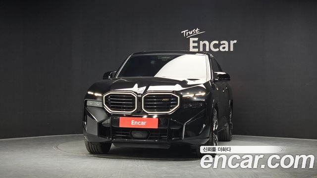 BMW XM 4.4 — пробег 28 313 км — фото 3 из 5