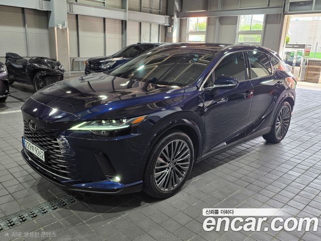 Lexus RX Luxury — пробег 8 100 км — фото 1 из 5