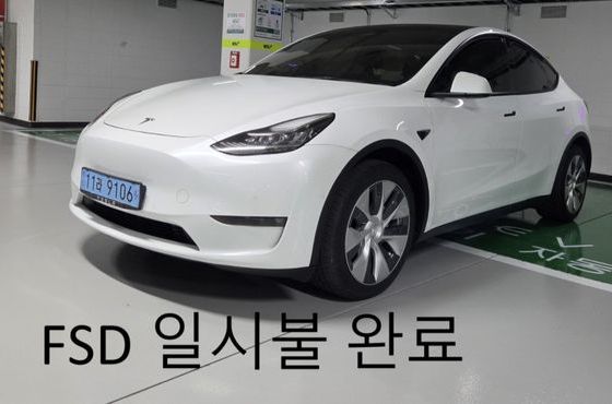 Tesla Model Y Long Range AWD — пробег 59 500 км — фото 1 из 5