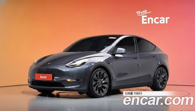 Tesla Model Y Performance AWD — пробег 127 940 км — фото 1 из 5