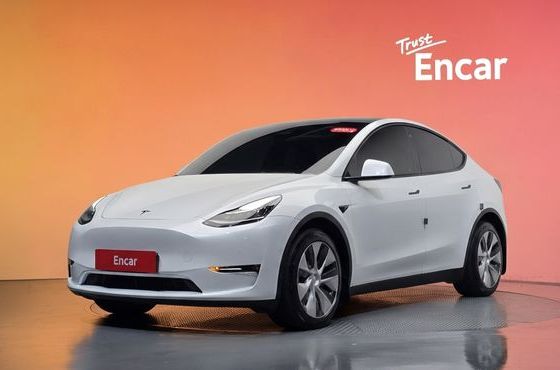 Tesla Model Y Long Range AWD — пробег 84 632 км — фото 1 из 5