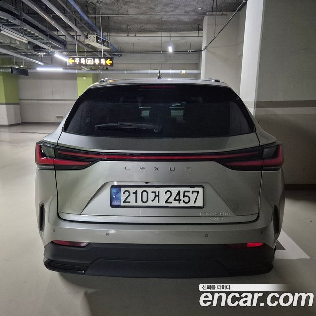 Lexus NX Premium — пробег 17 600 км — фото 1 из 5