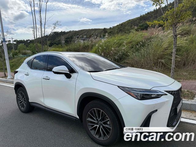Lexus NX из Кореи Encar