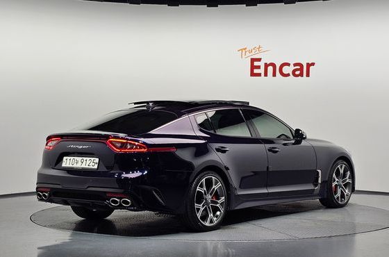 Kia Stinger 2.0 Turbo 2WD Platinum — пробег 59 144 км — фото 2 из 5