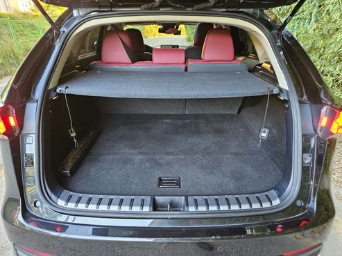 Lexus NX Supreme — пробег 137 200 км — фото 3 из 5
