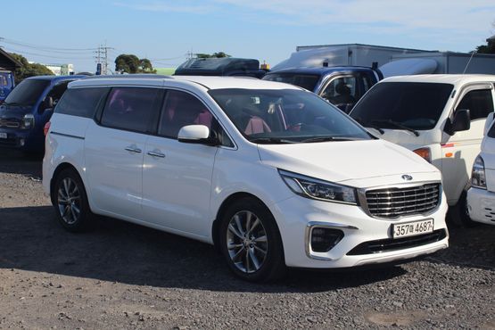 Kia Carnival 7-Seater Limousine VIP — пробег 132 935 км — фото 3 из 5