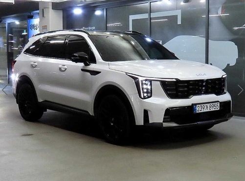 Kia Sorento Gasoline 2.5T 2WD Gravity — пробег 18 701 км — фото 1 из 2