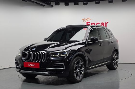 BMW X5 xDrive 40i xLine — пробег 22 211 км — фото 1 из 5