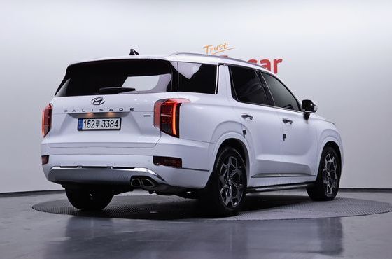 Hyundai Palisade Diesel 2.2 4WD Calligraphy — пробег 113 053 км — фото 2 из 5