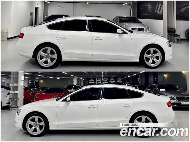 Audi A5 2.0 TDI Quattro Sportback 8TA — пробег 95 568 км — фото 4 из 5