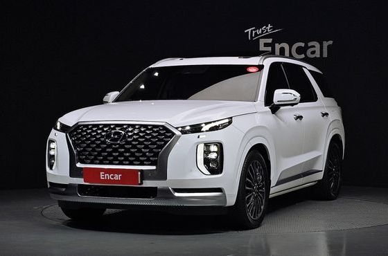 Hyundai Palisade Gasoline 3.8 4WD VIP — пробег 45 359 км — фото 1 из 5