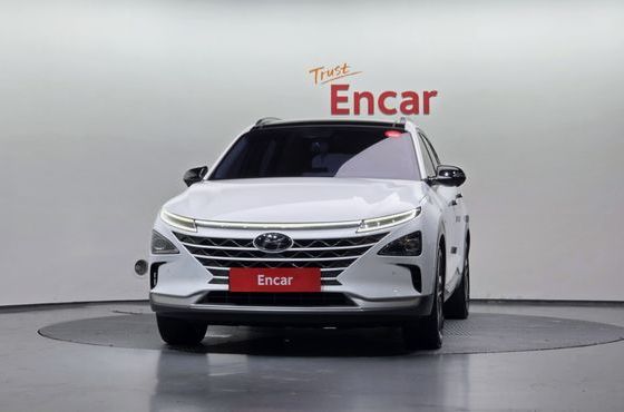 Hyundai Nexo Premium — пробег 53 476 км — фото 3 из 5