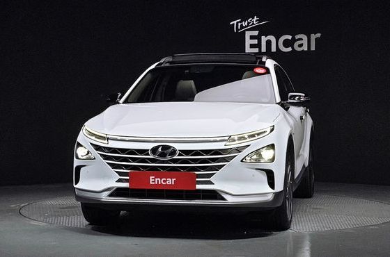 Hyundai Nexo Premium — пробег 117 447 км — фото 3 из 5